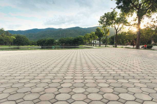 Reasons to Select Us for Your Driveway Paving Requirements in Sarasota Springs, FL